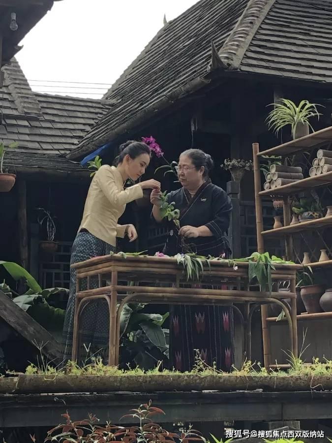 网友反映“三亚一流动摊贩卖水果缺斤短两”?官方通报来了